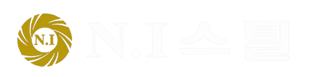 NL Steel official logo